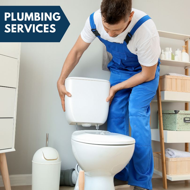 Plumbing Company in Van Orin, IL